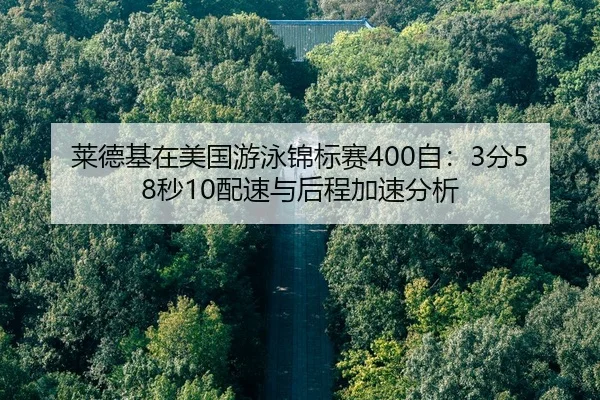 lai-de-ji-zai-mei-guo-you-yong-jin-biao-sai-zi-fen-miao-pei-su-yu-hou-cheng-jia-su-fen-xi-2-259.jpg