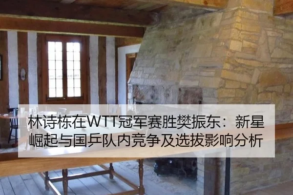 林诗栋在WTT冠军赛胜樊振东：新星崛起与国乒队内竞争及选拔影响分析