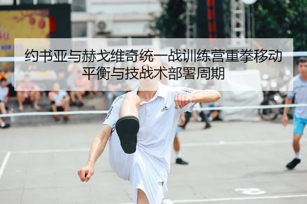 约书亚与赫戈维奇统一战训练营重拳移动平衡与技战术部署周期