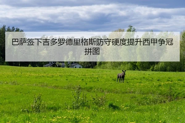 巴萨签下吉多罗德里格斯防守硬度提升西甲争冠拼图