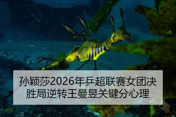 孙颖莎2026年乒超联赛女团决胜局逆转王曼昱关键分心理