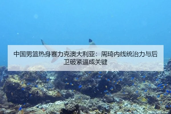 中国男篮热身赛力克澳大利亚：周琦内线统治力与后卫破紧逼成关键